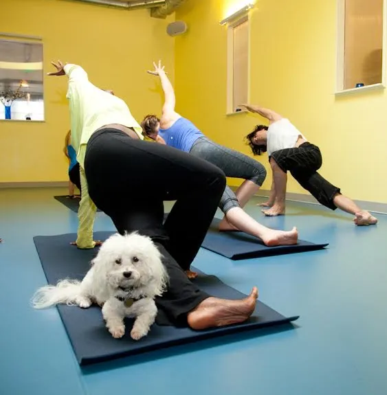 Spira Power Yoga Picture 4