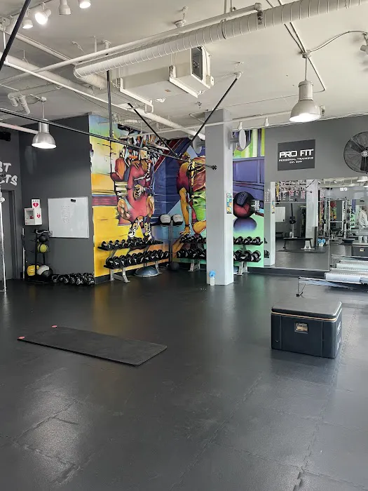 Pro Fit Training Gym Picture 3