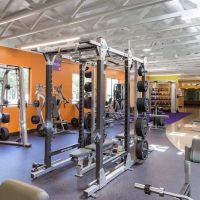 Anytime Fitness ico
