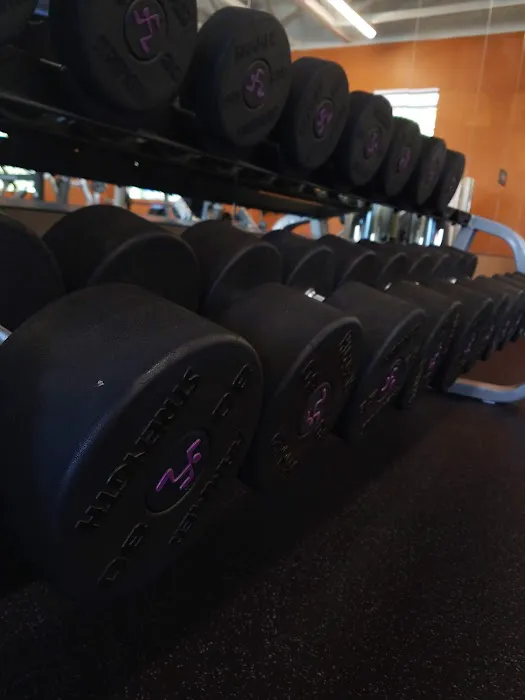 Anytime Fitness Picture 2