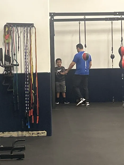 Elite Boxing Picture 8