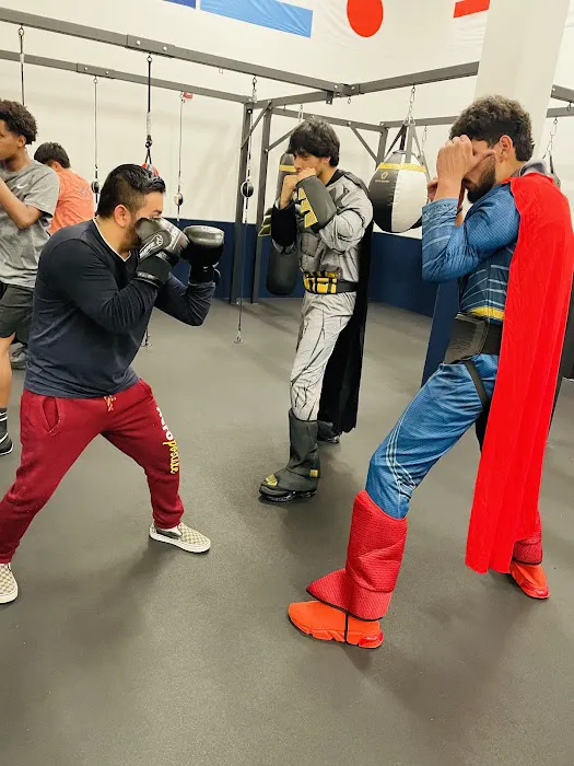 Elite Boxing Picture 1