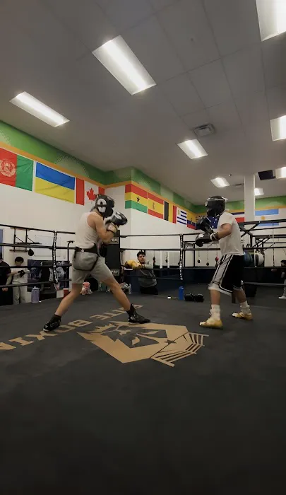 Elite Boxing Picture 2