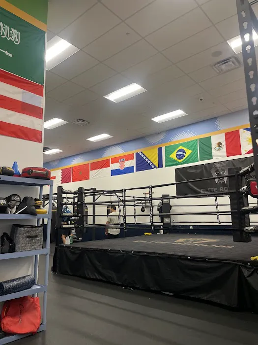 Elite Boxing Picture 3