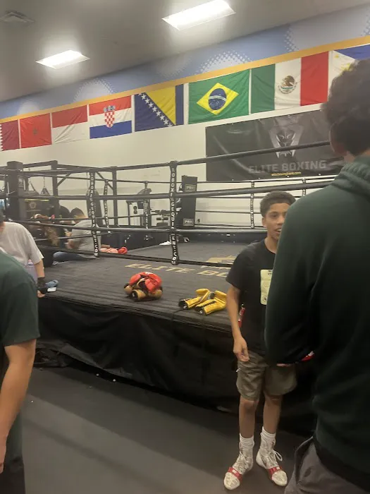 Elite Boxing Picture 9