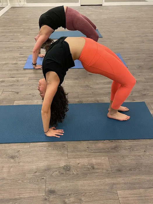 Shiva Yoga Picture 6