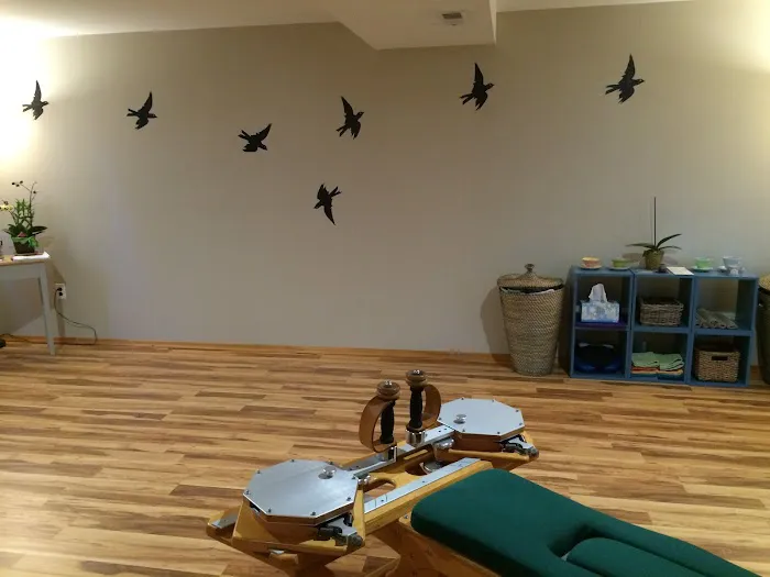 Merula Movement, Gyrotonic and Yoga Narada Studio Picture 2