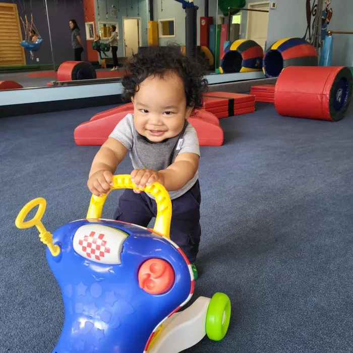 My Gym Bellevue Children's Fitness Center Picture 6