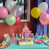 My Gym Bellevue Children's Fitness Center ico