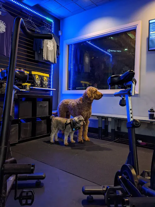 RepRoom Gym Picture 9