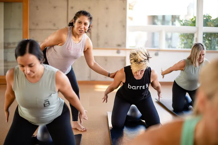 barre3 Picture 5