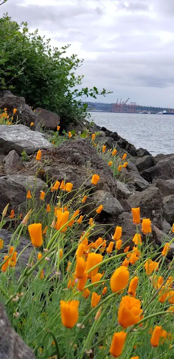 Centennial Park Exercise Station Picture 2