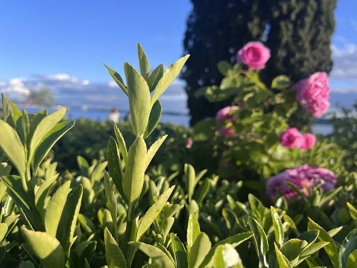 Centennial Park Exercise Station Picture 1