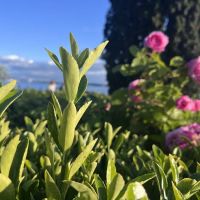 Centennial Park Exercise Station ico