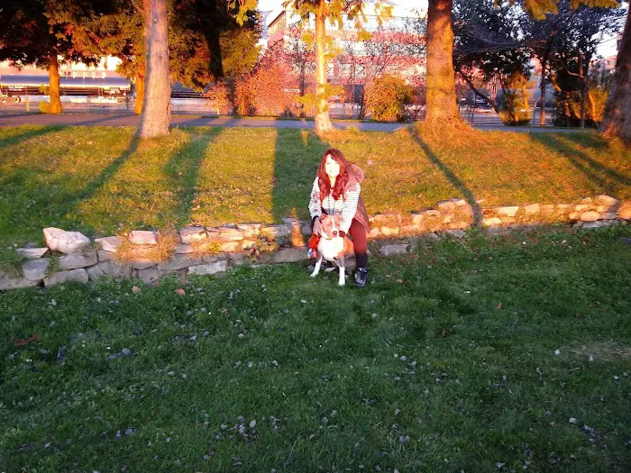Centennial Park Exercise Station Picture 10
