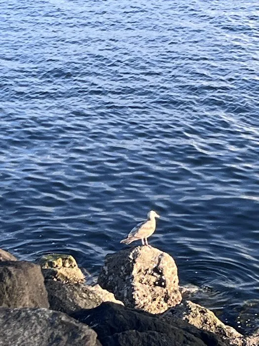 Centennial Park Exercise Station Picture 6