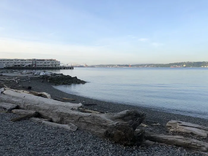 Centennial Park Exercise Station Picture 4