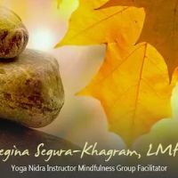 Integrative Healing - Segura Studios ico