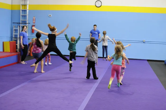 Synapse Circus Center Picture 1