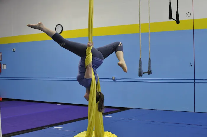 Synapse Circus Center Picture 9