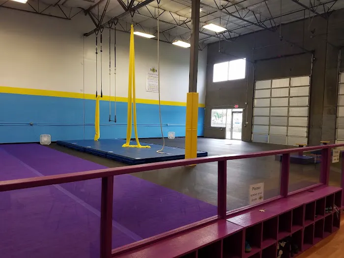 Synapse Circus Center Picture 3