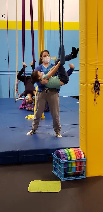 Synapse Circus Center Picture 7