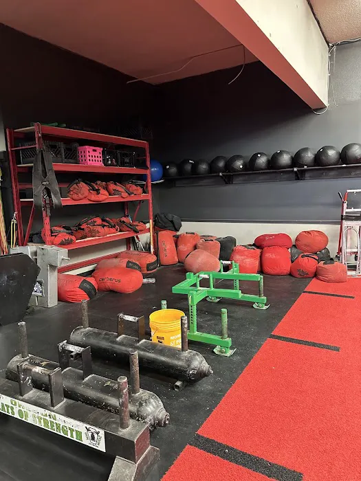 Dungeon Strength RX Picture 6