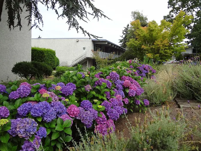 Highline College Pavillion Picture 6