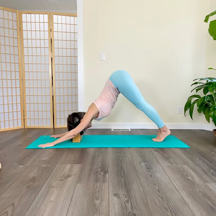 Alive & Shine Center Picture 5