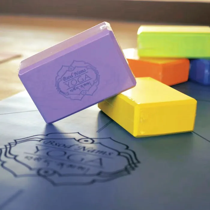 Bsod Nams Yoga Picture 4