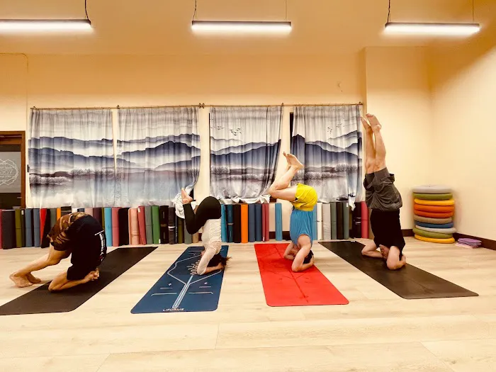 Bsod Nams Yoga Picture 7