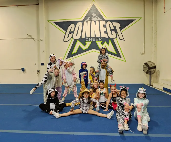Connect Cheer Northwest Picture 4
