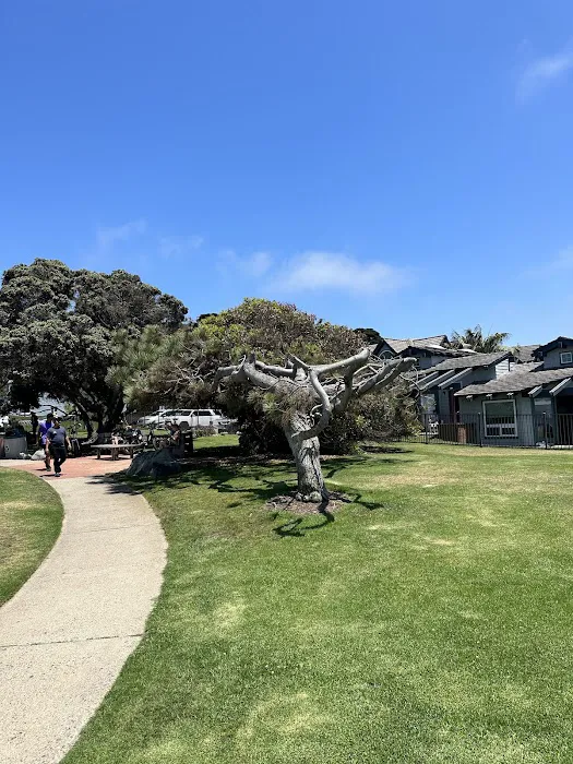 Northwest Fighting Academy. The Redmond Boxing Academy Picture 4