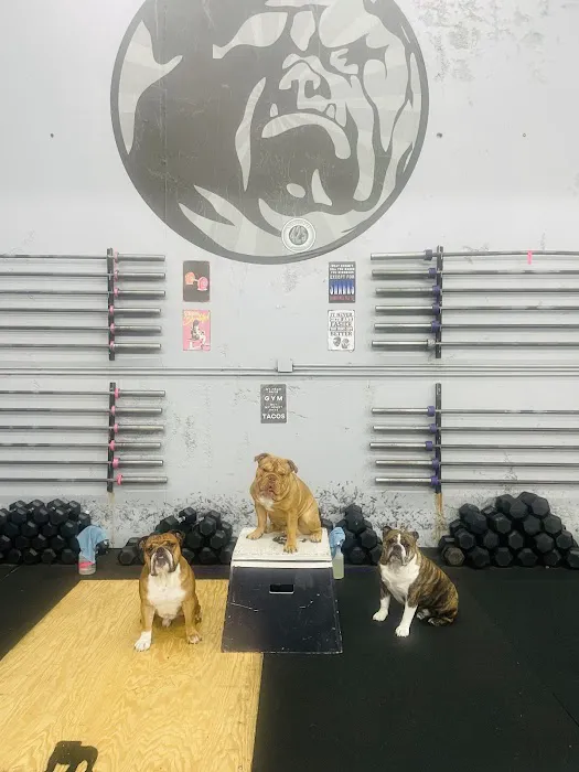 CrossFit 425 Picture 2