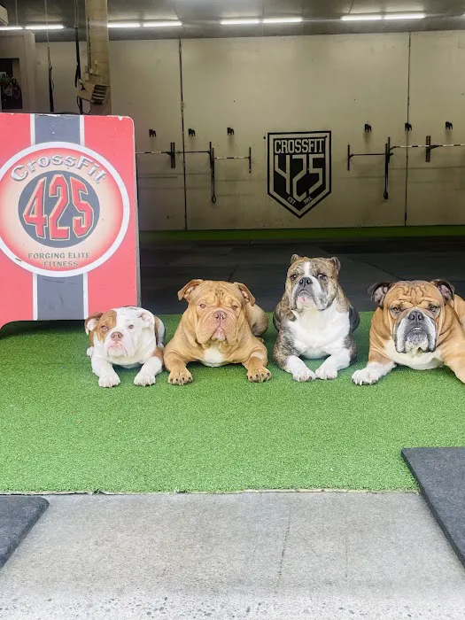 CrossFit 425 Picture 8