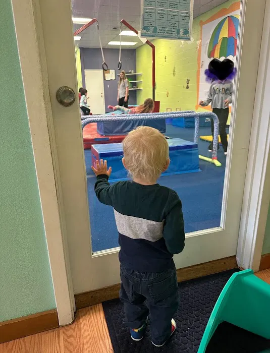 The Little Gym of Bellevue-Redmond Picture 1