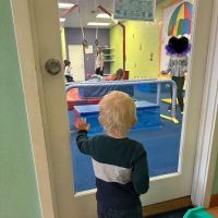 The Little Gym of Bellevue-Redmond ico