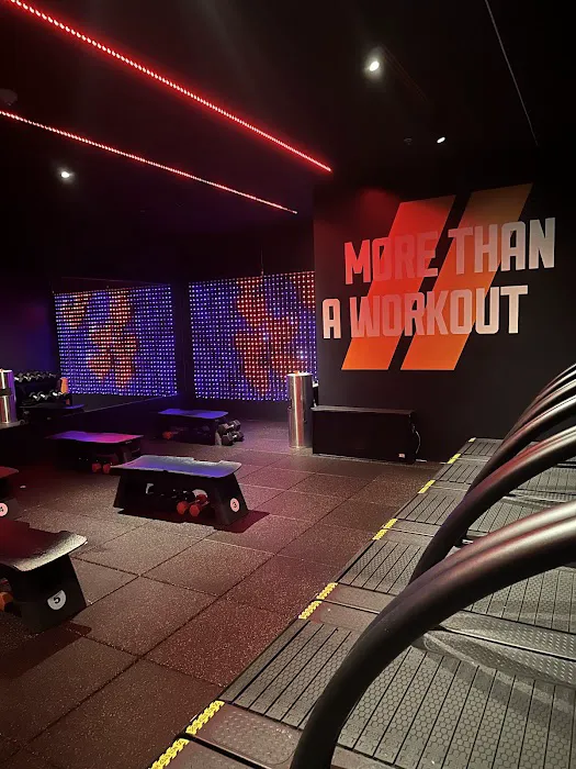 Shred415 Bellevue Picture 9