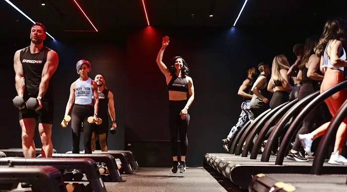 Shred415 Bellevue Picture 1