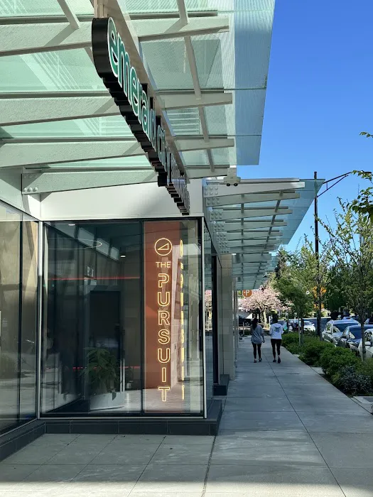 The Pursuit Picture 9