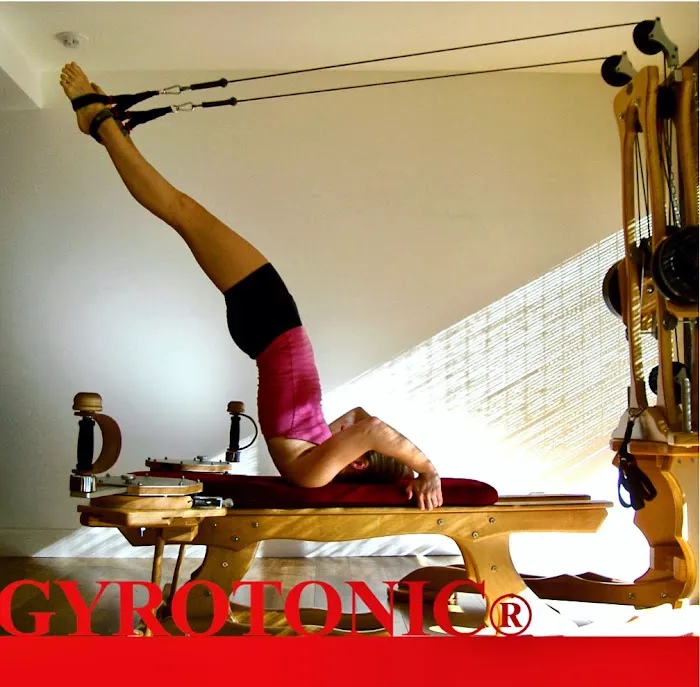 Jane Gotch-- GYROTONIC® and GYROKINESIS® Master Trainer, Somatic Experiencing® Practitioner Picture 10