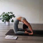 The Yoga Shala