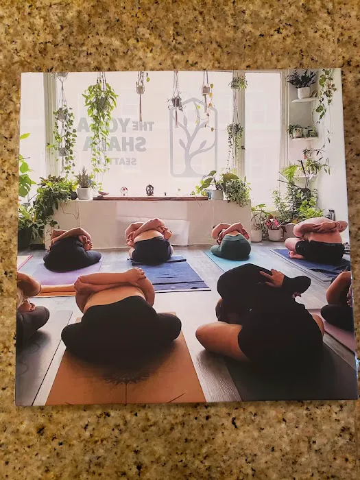 The Yoga Shala Picture 6