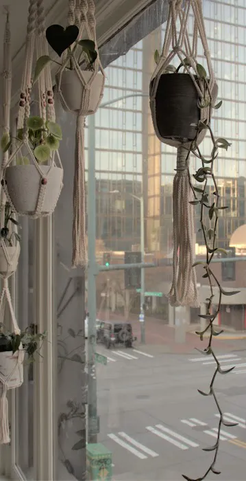 The Yoga Shala Picture 4