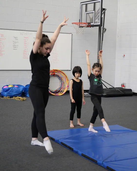 Seattle Rhythmic Gymnastics Picture 5