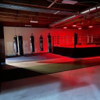 Boxing University Gym ico
