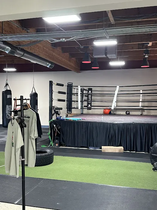 Boxing University Gym Picture 6