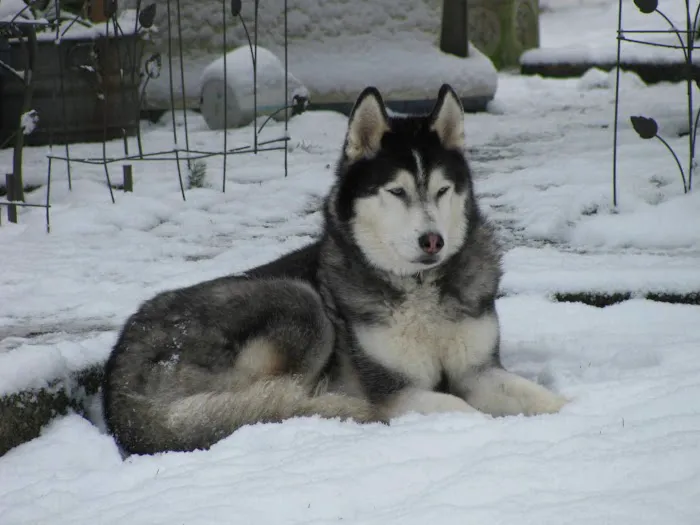 Inner Strength Pilates Picture 2