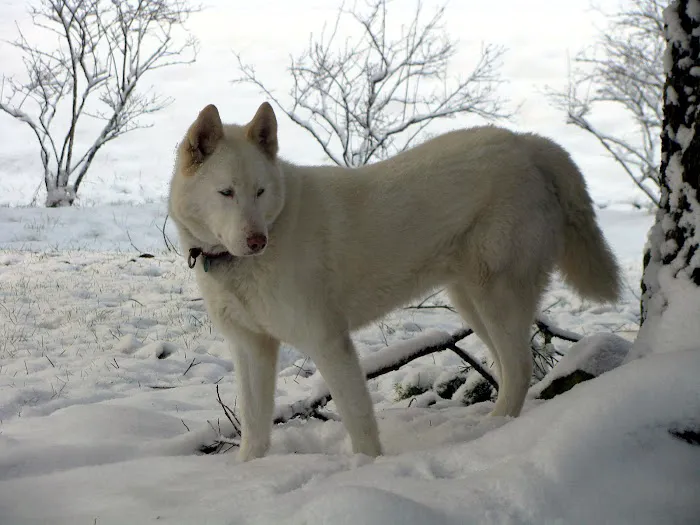Inner Strength Pilates Picture 1