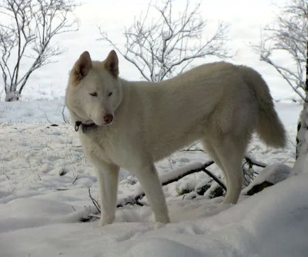 Inner Strength Pilates